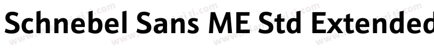 Schnebel Sans ME Std Extended Light字体转换